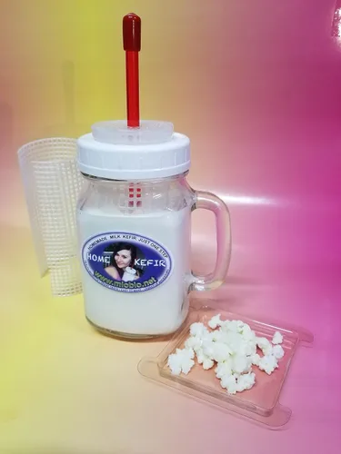 Miniatura 5 de fermentador de kéfir - infusor 16 oz con paja y dos mallas