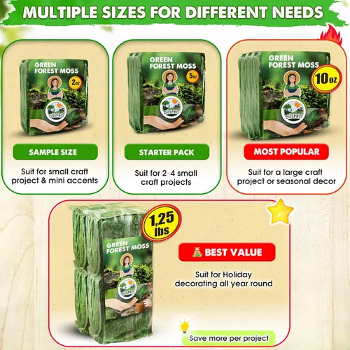 Miniatura 7 de DUSPRO Musgo Verde Mejorado para Manualidades, Musgo Real de Bosque en Plantas en Maceta, Musgos Decorativos para Centros de Mesa de Boda, Navidad