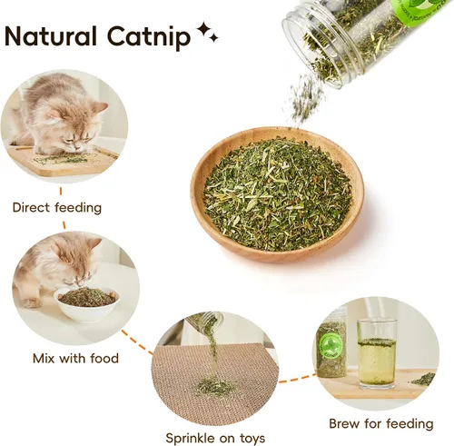 Miniatura 3 de Potaroma Juego de juguetes naturales para gatos con hierba gatera Silvervine y fruta con carcasa de felpa, juguetes orgánicos para gatitos