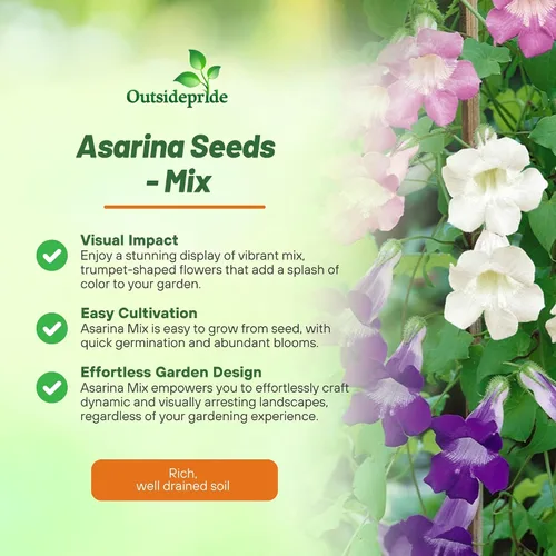 Miniatura 3 de Outsidepride Mix Asarina Climbing Snapdragon Seeds - 100 semillas de flores perennes para plantar, enredaderas trepadoras fáciles de cultivar