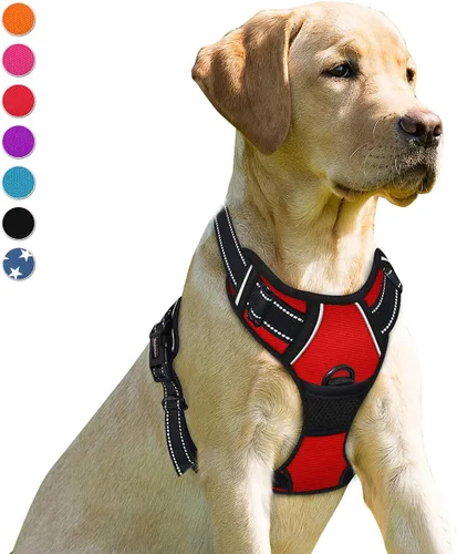 Miniatura 29 de BARKBAY Arnés sin tirones para perro, clip frontal, resistente, reflectante, mango de fácil control para pasear perros grandes (negro, L)