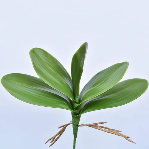 Miniatura 4 de FagusHome 10 hojas de orquídeas artificiales Phalaenopsis de 11 pulgadas, hojas de orquídeas artificiales verdes (10 unidades)