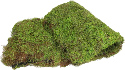 Miniatura 8 de FAICOIA Musgo artificial para decoración de 39 x 39 pulgadas, musgo falso para manualidades, musgo sintético para plantas de interior, césped Verde 1