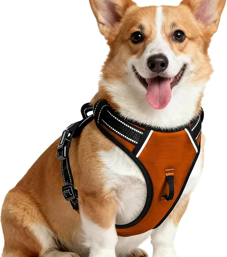 Miniatura 23 de Arnés para perro sin tirones, chaleco reflectante ajustable y acolchado para mascotas con asa de fácil control, fácil de llevar con nudo elegante