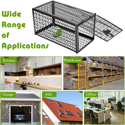 Miniatura 7 de Qualirey Trampa humana para ratas, ardilla, roedor, ratón, ardilla, trampa para ardillas, 11 x 6 x 6 pulgadas, para animales vivos, ratones