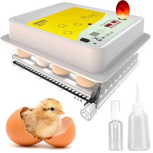 Miniatura 8 de OBI-36 Incubadora de huevos para incubar - 36 huevos - Control estable de temperatura y humedad con aislamiento Eggloo, Candler - Ideal