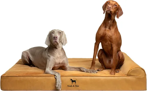 Miniatura 43 de NOAH & PAW Cama para perro, 28x23x7.5 pulgadas, camas ortopédicas para perros de tamaño mediano, espuma viscoelástica tipo cáscara de huevo Cuero