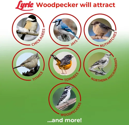 Miniatura 5 de Lyric Woodpecker - Semilla de ave silvestre sin desperdicio, con frutos secos, frutos secos y semillas sin cáscara, bolsa de 20 libras