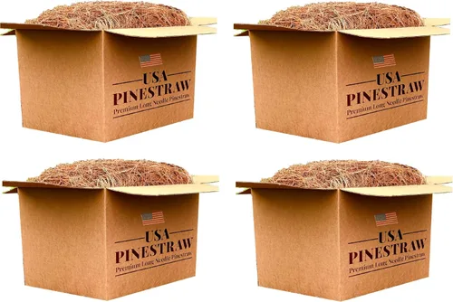 Miniatura 5 de Paja de pino de EE. UU., mantillo de aguja de pino de primera calidad (mantillo de aguja de pino, cubre 100 pies cuadrados, 2 juegos)