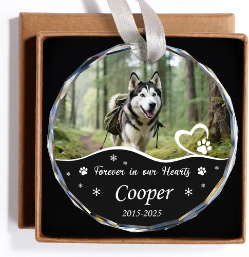 Miniatura 15 de Adornos de Navidad personalizados para la familia con foto - Adornos personalizados con foto y texto para árbol de Navidad 2025, decoración de árbol