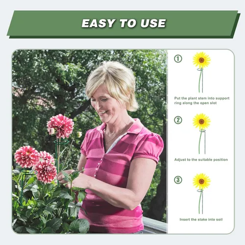 Miniatura 4 de Joyhalo Paquete de 20 Estacas de Soporte para Plantas de 36 Pulgadas, Estacas para Plantas, Estacas para Flores con 24 Lazos de Torsión, Palos
