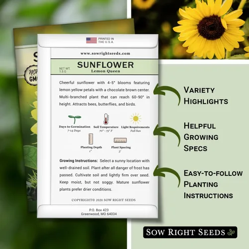 Miniatura 2 de Sow Right Seeds - Semillas de girasol Lemon Queen para plantar - Paquete de reliquia sin OMG con instrucciones para cultivar - Floraciones