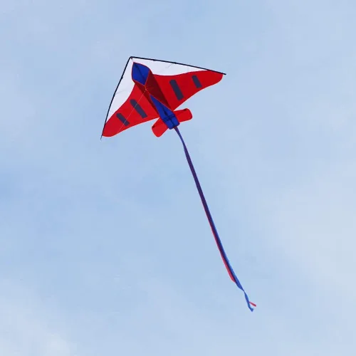 Miniatura 2 de Besra Cometa de avión colorida de 60 pulgadas de una sola línea fácil de volar aviones de nailon para niños y adultos
