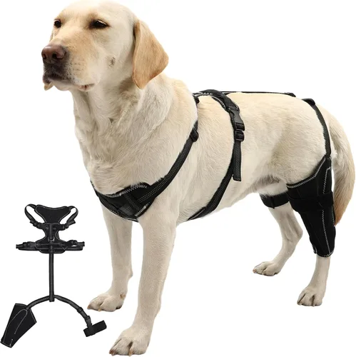 Rodillera para perro para pierna trasera de acl desgarrada para apoyo con lesiones de ligamento cruzado, rótula luxante, artritis, rodillera de acl