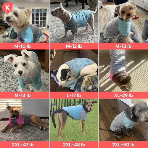 Miniatura 5 de KYEESE Paquete de 2 camisetas para perro con mangas, camisetas ligeras de protección solar para perros pequeños, transpirables para mascotas, ropa