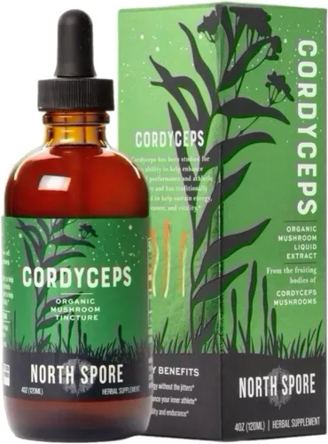 North Spore Cordyceps - Tintura de extracto de hongo, gotas diarias líquidas para energía, resistencia, rendimiento, Cordyceps Militaris orgánico,