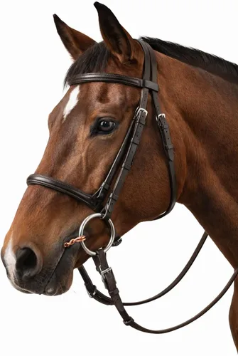 Miniatura 4 de ProRider Caballo 6" SS anillo suelto trenzado alambre Snaffle caballo bit 35479D