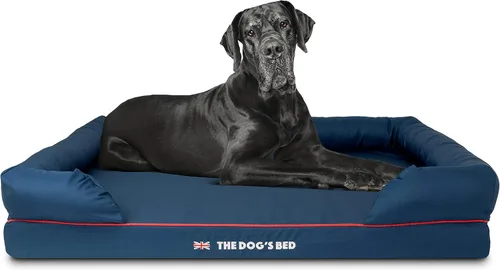 Miniatura 14 de The Dog's Bed - Cama ortopédica de espuma viscoelástica para perros medianos, colchón de soporte de alta densidad, entrada frontal baja, funda negro