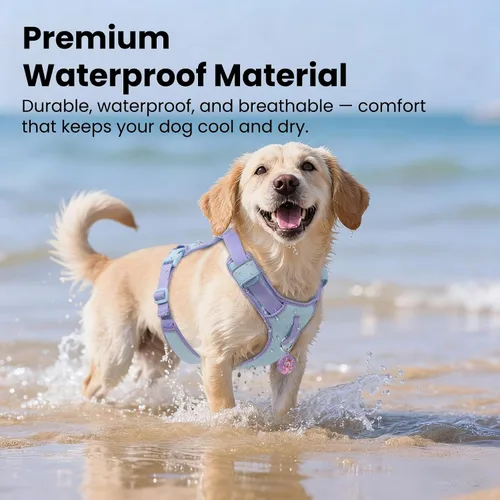 Miniatura 4 de Arnés para perro sin tirones a prueba de fugas para perros pequeños y cachorros, chaleco ligero ajustable con clip frontal y trasero, bolsillo