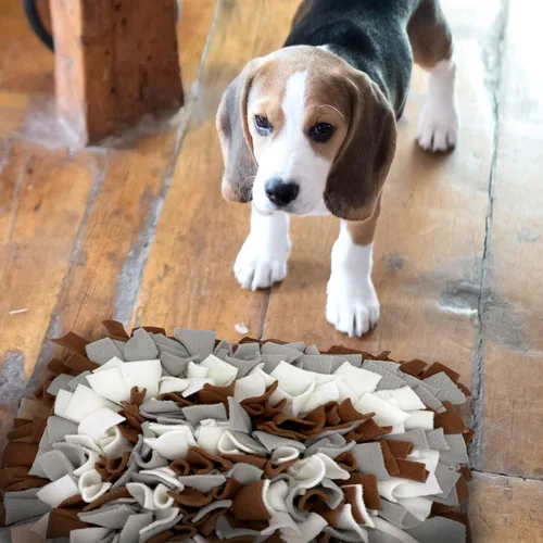 Miniatura 5 de LIVEKEY Alfombrilla de Olfato para Perros, Alfombrilla de Alimentación Canina, Alfombrillas de Entrenamiento de Nariz para Instinto de Forrajeo