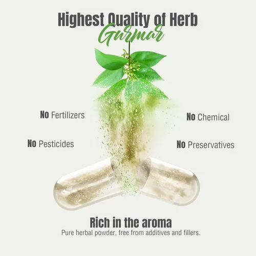 Miniatura 6 de Herbsforever Gurmar Cápsulas – Gymnema Sylvestre – Suplemento herbario – 90 cápsulas (paquete de 2)