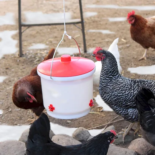 Miniatura 6 de Farm Innovators - Paquete de 2 bebederos térmicos para pollo, cubo para bebedero para aves de corral, 2 galones