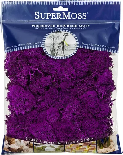 Miniatura 5 de SuperMoss (23165) Musgo de reno, musgo preservado suave para decoración del hogar, manualidades, terrarios, diseño floral y decoraciones de boda