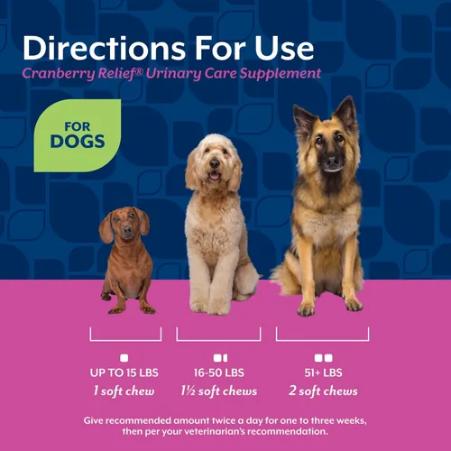 Miniatura 6 de NaturVet Cranberry Relief, bocados suaves masticables con arándanos y equinacea, alivio para mascotas