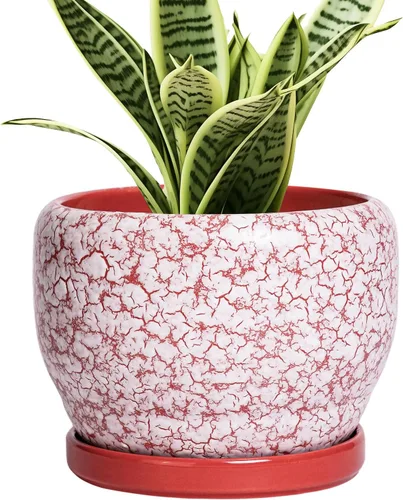 Miniatura 42 de SQOWL Macetas de cerámica – Maceta de 6 pulgadas con orificio de drenaje y bandeja, maceta redonda para plantas de interior, maceta decorativa
