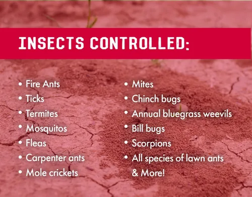 Miniatura 5 de 7.9% insecticida bifentrina - 32 onzas - (comparado con las marcas líderes) - Control profesional de insectos - mata al contacto - Hormigas