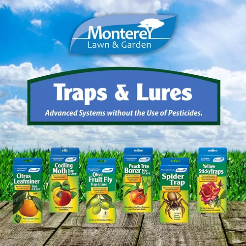 Miniatura 5 de Monterey LG8920 - Trampa y señuelo para minador de hojas cítricas, paquete de 2, natural