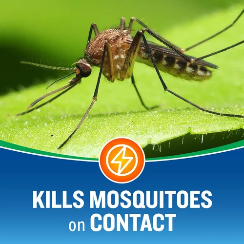 Miniatura 2 de Cutter Insecticida en aerosol para control de insectos en el patio trasero (paquete de 2), mata mosquitos, pulgas y hormigas listadas, 16 fl oz