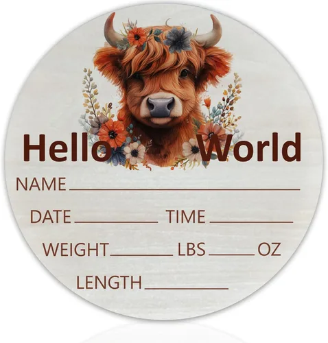 Miniatura 13 de Hello World Birth Announcement - Cartel redondo de madera de abedul para recién nacido, para guardería, hospital, baby shower, placa personalizada