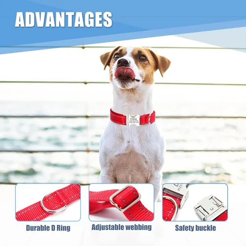 Miniatura 4 de Collar de perro personalizado con etiqueta de nombre, collar de nailon reflectante para mascotas, collares de perro con hebilla grabada Rosa