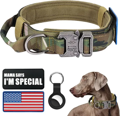 Collar táctico de nailon - Hebilla de metal resistente con asa para entrenamiento de perros, con parches (camuflaje, M)