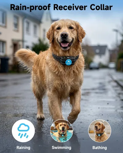 Miniatura 5 de PATPET Collar de Entrenamiento para Perros Collar de Choque para Perros con Control Remoto - 3 Modos de Entrenamiento, Pitido, Vibración y Choque
