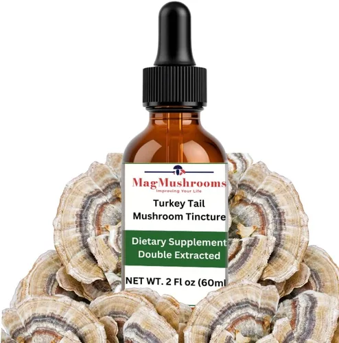 Miniatura 7 de Tintura de hongos de rutina matutina, alta potencia, doble extracción, 60 dosis diarias, melena de león y cordyceps