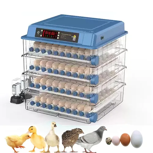 Incubadoras automáticas para incubar huevos, capacidad para 6-256 huevos, girador automático de huevos y control de humedad, vista de 360°, vela de