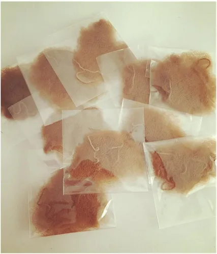 Miniatura 2 de 20 "Lote de redecillas para el cabello Invisible Elastic Edge Mesh 19.7 in Redes de pelo reutilizables (marrón claro 10pcs)