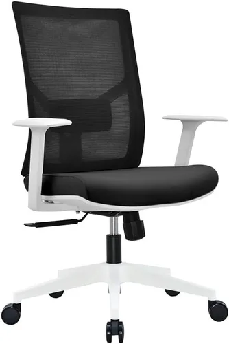 Miniatura 9 de Silla de oficina ergonómica de malla multifunción con soporte lumbar, reposabrazos ajustable (reposacabezas, negro-blanco)