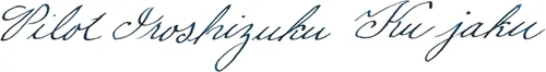 Miniatura 4 de Namiki Iroshizuku - Tinta para pluma estilográfica embotellada, Chiku-rin