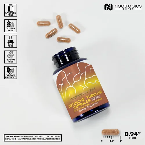 Miniatura 3 de Nootropics Depot Cápsulas de Cistanche tubulosa 700 mg 5% equinacosido + 1% verbascósido (acetósido) 60