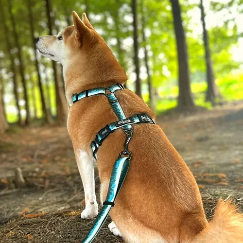 Miniatura 5 de Casual H - Arnés para perro, arnés sin tirones para mascota, con 2 clips para correa, chaleco acolchado suave ajustable para perros pequeños
