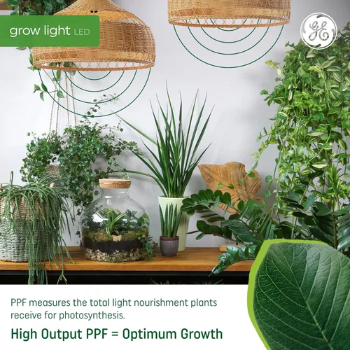 Miniatura 3 de GE Bombilla de luz LED de cultivo, PAR38 luz de inundación, luces de cultivo LED de interior para flores y frutas, espectro de luz roja avanzado