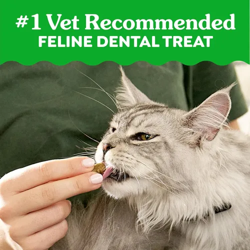 Miniatura 4 de Greenies Golosinas dentales naturales para gatos adultos recomendadas por veterinarios felinos, sabor hierba gatera, bolsa de 2.1 onzas