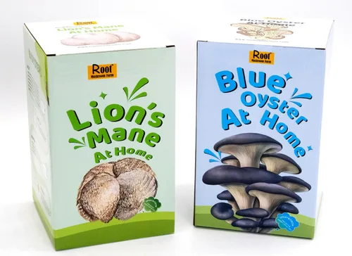 Miniatura 7 de Kit para cultivar melena de león (un kit), tronco de 3.2 libras