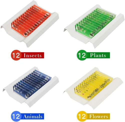 Miniatura 2 de Juego de 48 portaobjetos de microscopio preparados, animales, insectos, plantas, flores, recursos de aprendizaje biológico, especímenes para niños