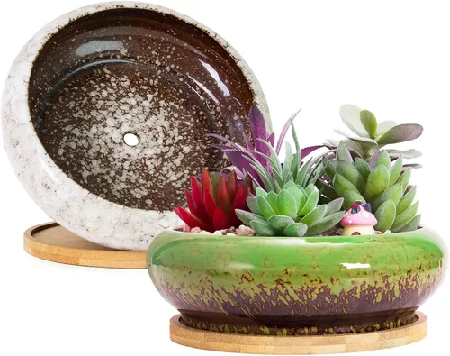 Miniatura 8 de ARTKETTY Macetas para suculentas de 7.3 pulgadas con drenaje, paquete de 2, macetas poco profundas para bonsái con bandeja de cerámica para plantas