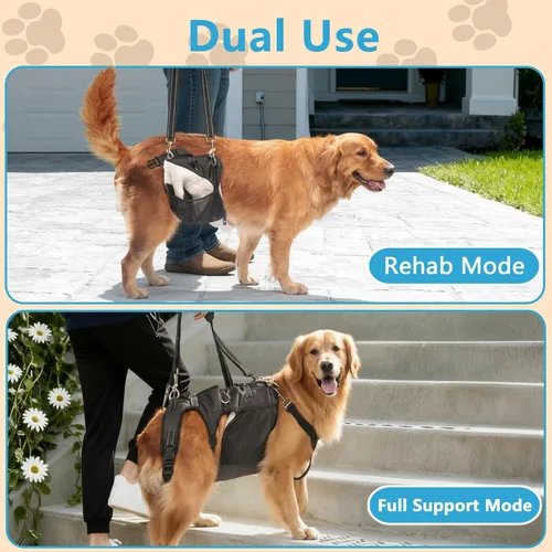 Miniatura 4 de Arnés doble uso para perro SyFatWeen con soporte para las patas traseras y cadera, cabestrillo canino para elevación de perro, ajustable y suave