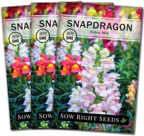 Miniatura 8 de Sow Right Seeds - Semillas de snapdragon mix tetra para plantar - Paquete sin OMG y reliquia con instrucciones para cultivar - Espigas anuales